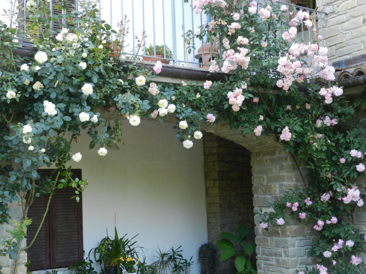 Mamota B&B Vesime Exterior foto