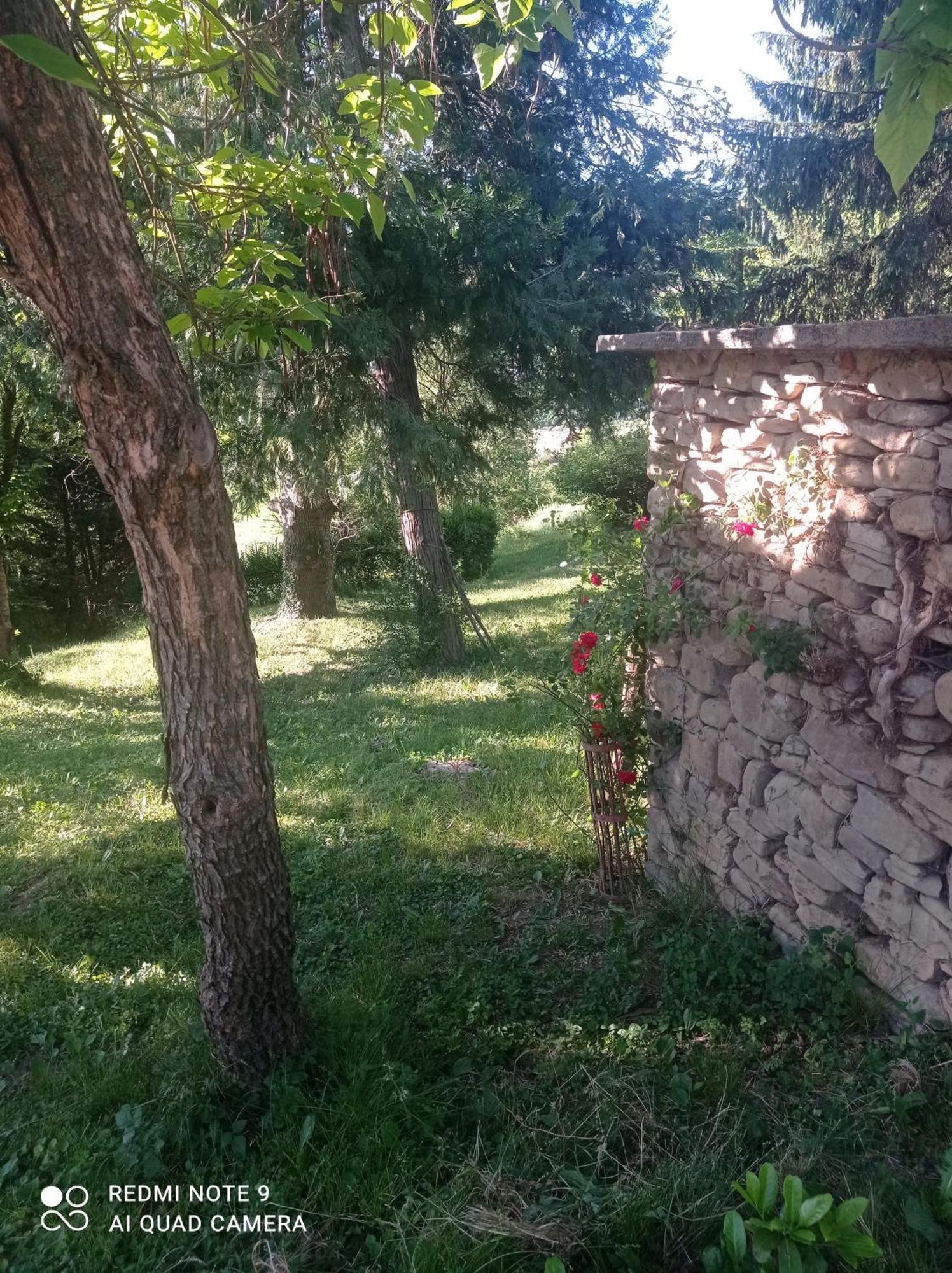 Mamota B&B Vesime Exterior foto